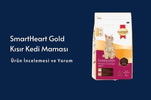  Smartheart Gold Kısır Kedi Maması İnceleme 