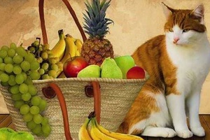 Kediler Üzüm Yiyebilir Mi?