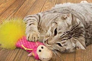 Kedi Otlu Oyuncak Ne İşe Yarar?