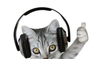 Kediler Müzik Dinlemeyi Sever Mi?