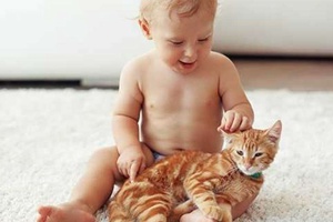 Kediler Çocuklara Zarar Verir Mi?