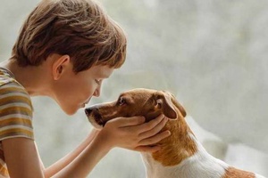 Köpekler Çocuklara Zarar Verir Mi?