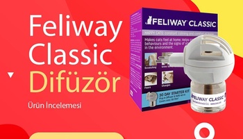 Feliway Classic Difüzorü