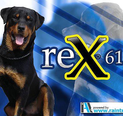 rex Erkek Rottweiler