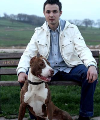 kont Erkek Amerikan Pitbull Terrier