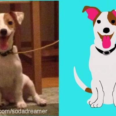 funky Erkek Jack Russell Terrier