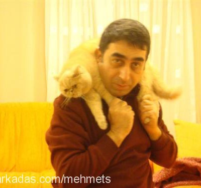Mehmet S. Profile Picture