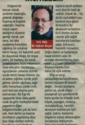 M.Hakan B.