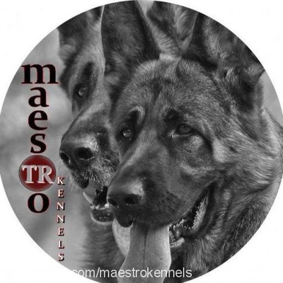 Maestro K. Profile Picture