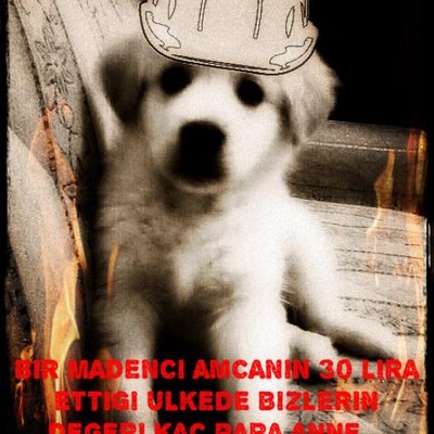 Bülent O. Profile Picture