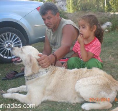 Kawka,Bursa Kızıma Gerçekten İyi Bakabilecek Aile Aranıyor, Bursa