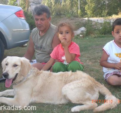 Kawka,Bursa Kızıma Gerçekten İyi Bakabilecek Aile Aranıyor, Bursa