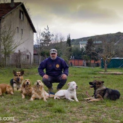Ücretsiz Eğitimli İş Köpekleri, İstanbul