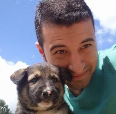 Jack Kırma Bi Köpektir Ve Erkektir Özel Nedenlerden Dolayı Sahiplendirmek İstiyorum, İstanbul