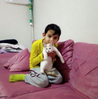4 Aylık Yakışıklı Pamuk Kediye Ömürlük Aile Aranıyor!, Bursa