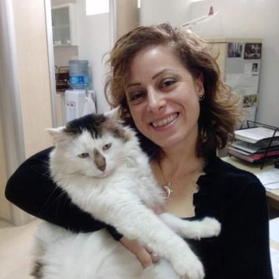 Kayıp Kedi: Hacer, İstanbul
