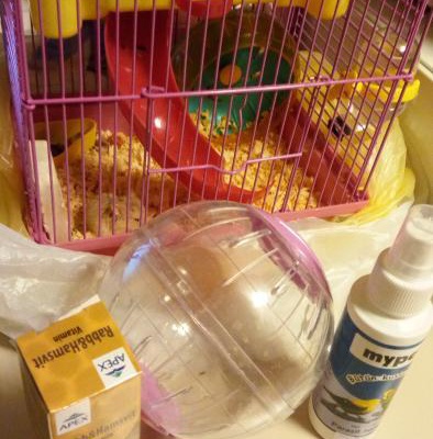 Gonzales Hamsterıma Ev Arıyorum Çok Acil ! Daha 1 Aylık, Ankara