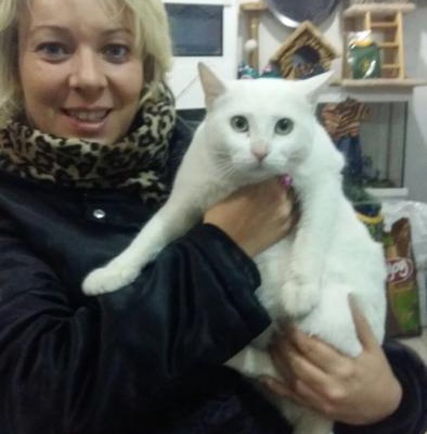 Petshopa Bırakılmış Ev Kedisi Sıcak Yuva Arıyor, İstanbul