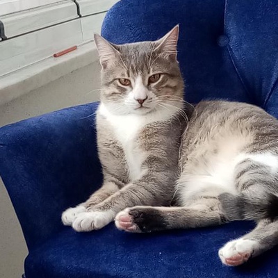 Kedim Kayıp, Zonguldak