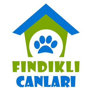 Fındıklı Canları/Sinem Memoğlu Profile Picture