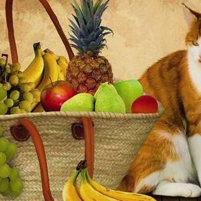 Kediler Üzüm Yiyebilir Mi?