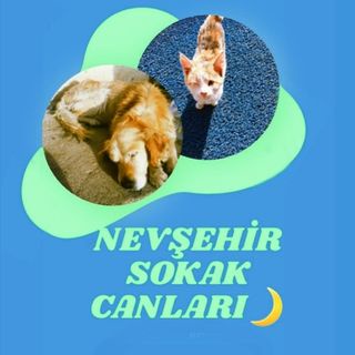 Nevşehir Sokak Canları Profile Picture