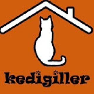 Kedigiller Profile Picture
