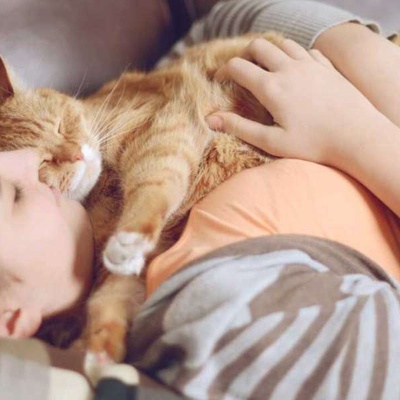 Kedilerle Uyumanın Yararları Nelerdir?