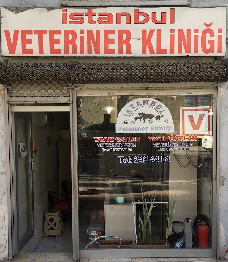 İstanbul Veteriner Kliniği