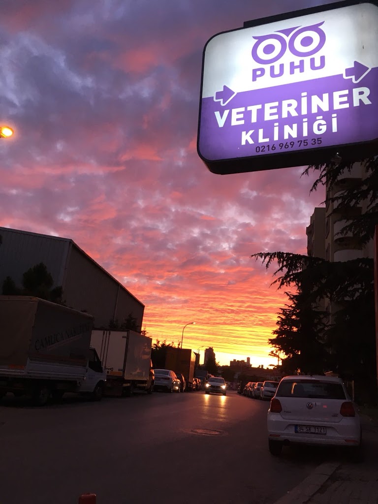 PUHU Veteriner Kliniği