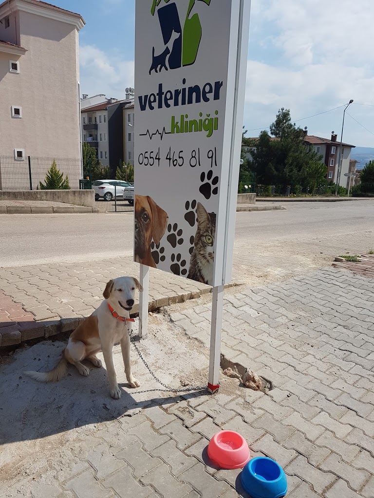 Peti veteriner kliniği