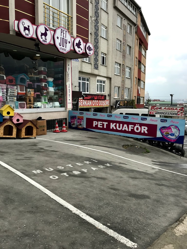 PATİPET - BAKIM, PET KUAFÖR, PANSİYON, MAMA Pet Kuaförü