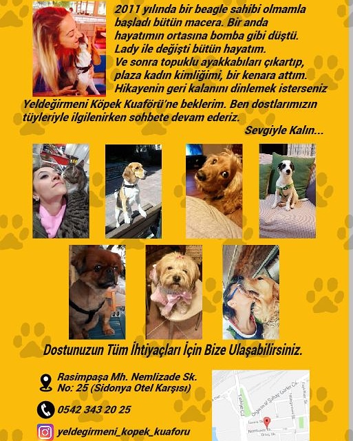 PATİPET - BAKIM, PET KUAFÖR, PANSİYON, MAMA Pet Kuaförü