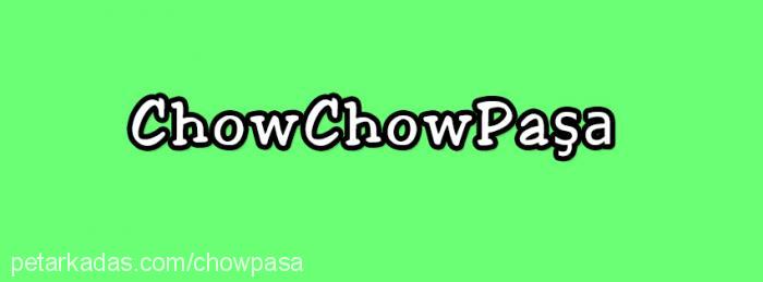 paşa Erkek Chow Chow