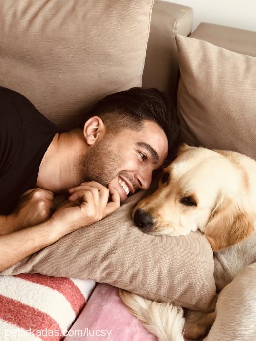 lucsy Dişi Golden Retriever