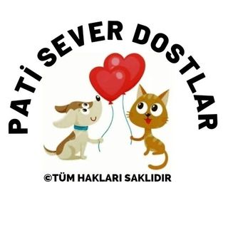 PATİ SEVER DOSTLAR Profile Picture